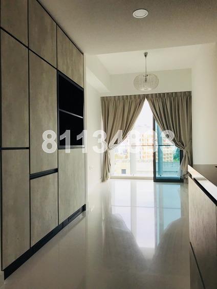 The Rise @ Oxley - Residences (D9), Apartment #163724802